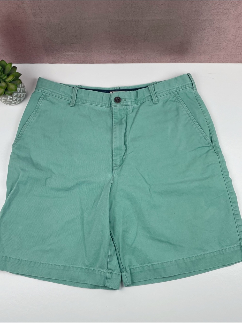 Izod Pastel Green Shorts Men Size 34 Cotton